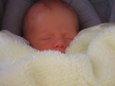 Kamden_in_scoller-3.jpg