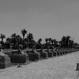 L1020919.JPG