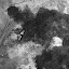 L1130511.JPG