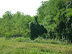 Paesaggio naturale intorno al canale Vacchelli