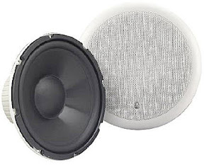 POLY PLANAR MS 250 Subwoofer marino da esterno