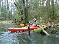 DSC00152.JPG Photo