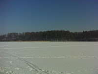 DSC03341.JPG Photo