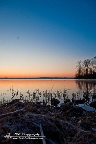 [Old Hickory Lake Sunrise-27-Edit[1].jpg]
