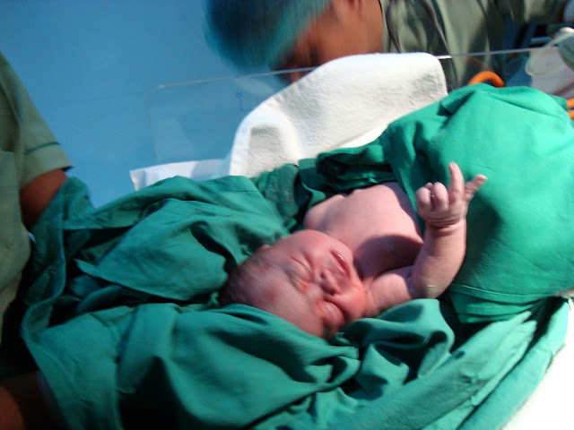 Angelina Yufeng Capodieci arrives