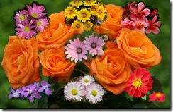 wallpaper de flores wallpaper de flores