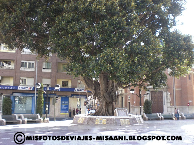 [Plaza María Agustina[2].jpg]