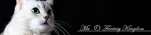 header-photo