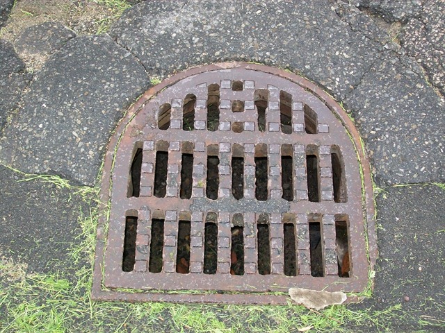 [201008011242.jpg]