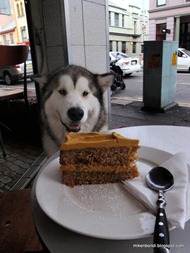 Old Fish Shop Cafe - Mango & Banana Cake