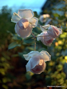 P1000542