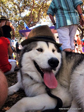 Fair Day hat