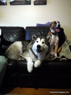 Best buds 1