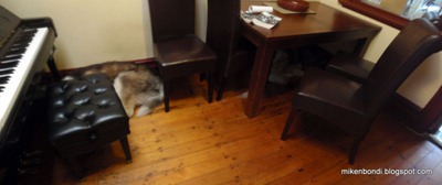 P2090001-2 dogs under tables [ice]