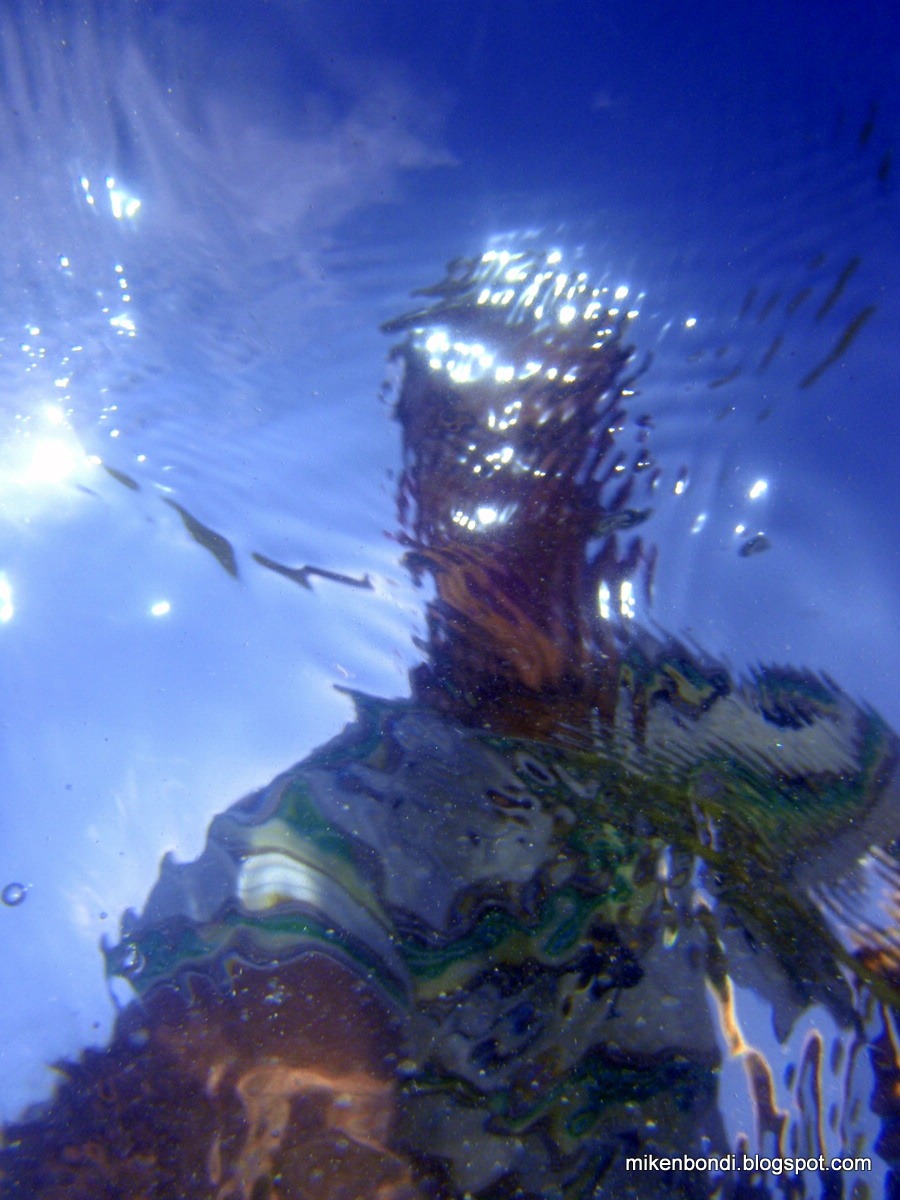 [P3120078[2].jpg]