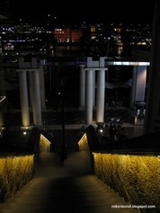 Dendy steps
