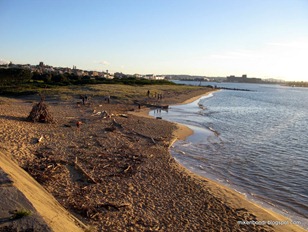 off-leash dog beach