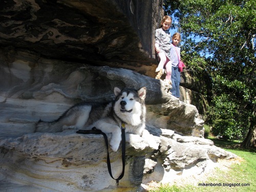 Emily & Bella stalk drop bears