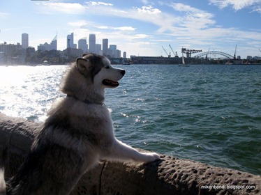 IMG_3685 6_stitch