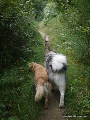 Tosca & Munson follow Smeggs