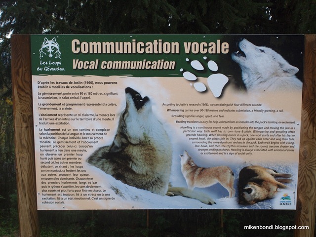 Wolf vocal communication primer Wolf vocal communication primer