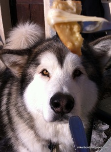 IMG_0384 IMG_0384