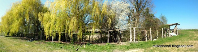P3242783-88_stitch