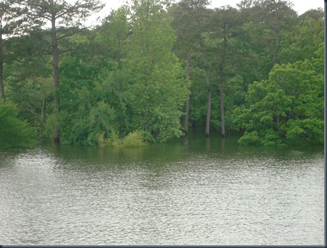 2009 lake 089