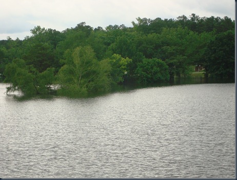 2009 lake 095