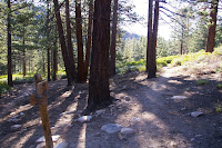 IMGP0003.JPG Photo