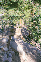 IMGP0006.JPG Photo