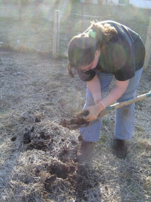 image of B in the garden