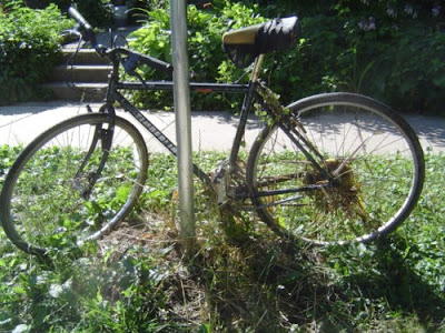 Thats not a bicycle, thats pre-Columbian art! image of jungle bicycle