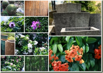 450D test pics