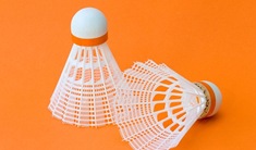 birdie-orange birdie-orange