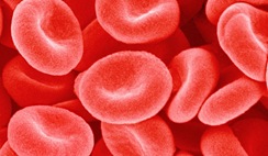 blood-plasma-sperm-bank blood-plasma-sperm-bank