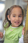 34164-54001CHWEDAMRM3.JPG