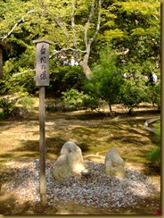 DSCF6937 DSCF6937