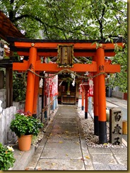 DSCF7517 DSCF7517