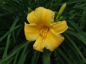 DSCF0990