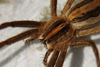 DSC06898.JPG