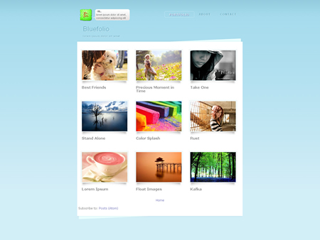 Bluefolio