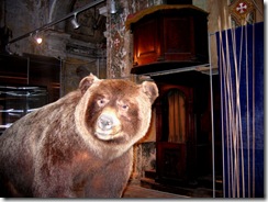 Mostra Orsi e Sciamani 09 011b Mostra Orsi e Sciamani 09 011b