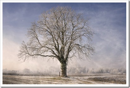 Фотограф Philippe Sainte-Laudy