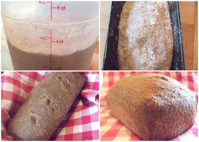 [2010-05-131[5].jpg]