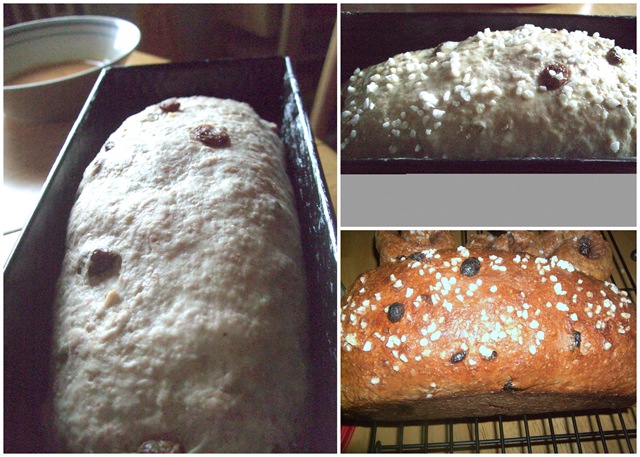 [2010-04-293[7].jpg]