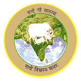 Logo, Flag, Art Works