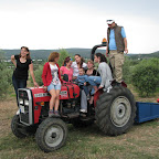 IMG_3484.JPG