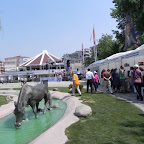 DSCN2743.jpg