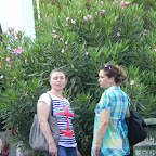 DSCN2767.jpg